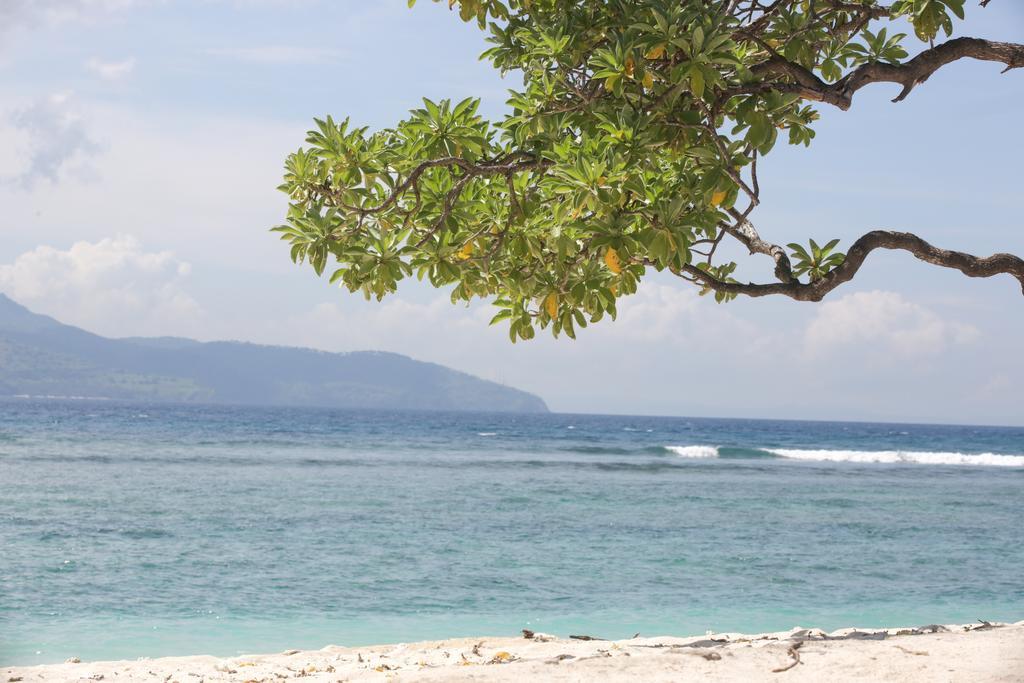 Edenia - Luxe With Private Pools * Gili Trawangan